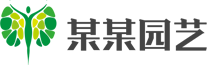 糖心精品