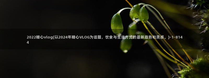 糖心vlog书签:2022糖心vlog(